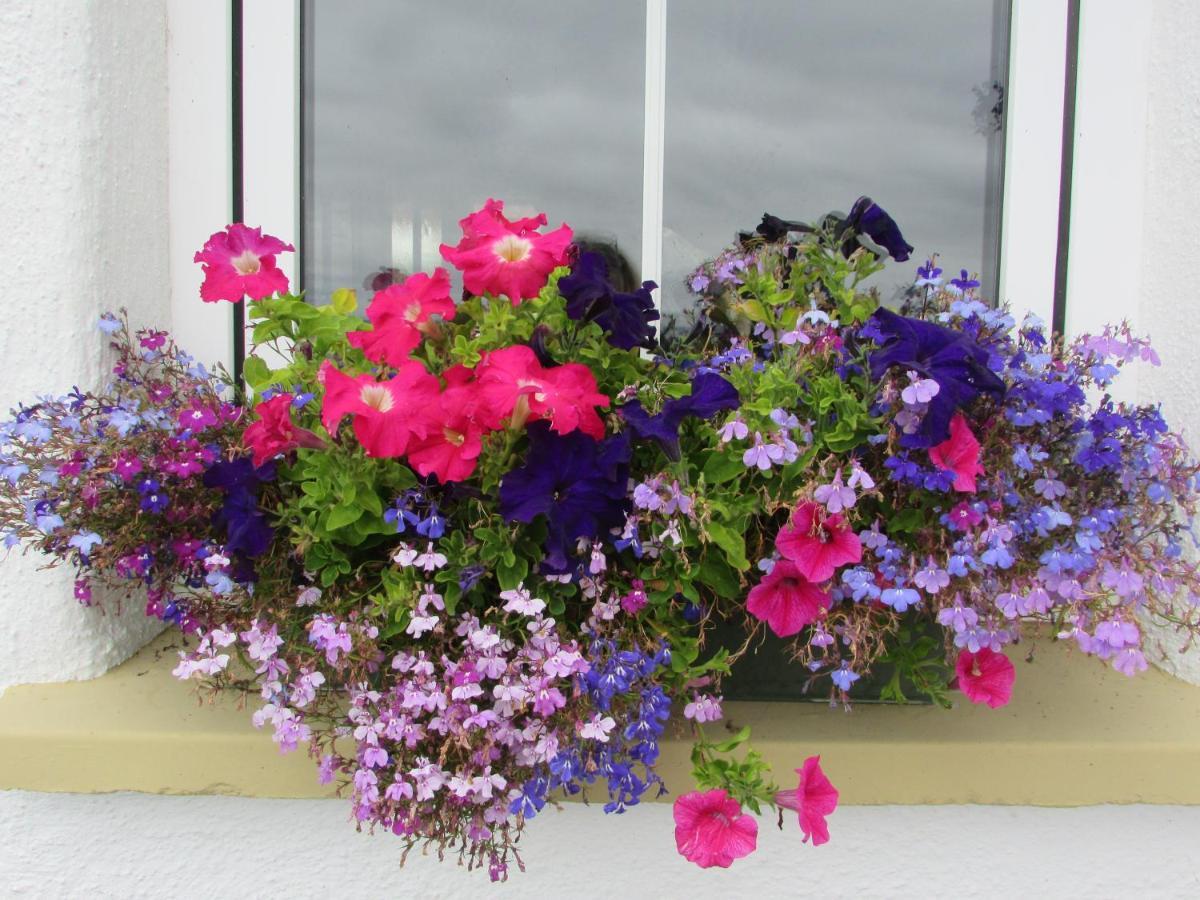 Breacan Cottage B&B Kinvara Buitenkant foto