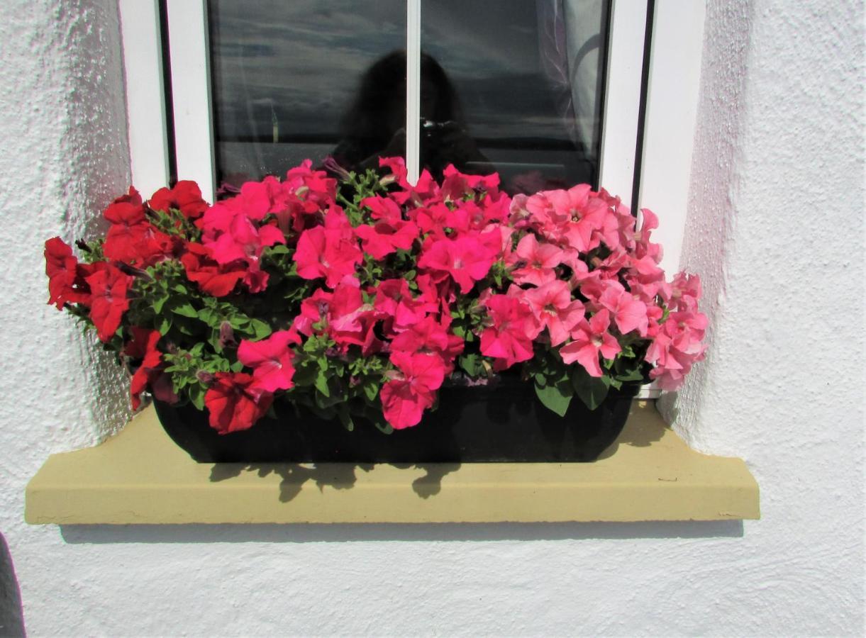 Breacan Cottage B&B Kinvara Buitenkant foto